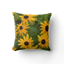 Black Eye-Susan 