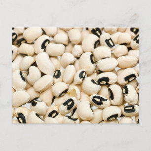 Black Eyed Peas Postcard