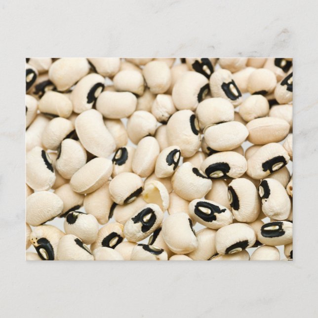 Black Eyed Peas Postcard (Front)