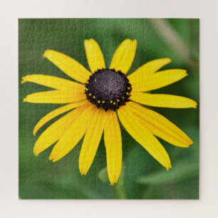 Black Eyed Susan - 20x20 - 676 pcs. Floral Puzzle