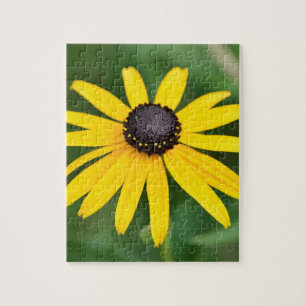 Black Eyed Susan - 8x10 110 pcs. Puzzle floral