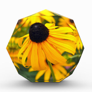 Black-Eyed Susan Acrylic Photo Block