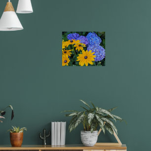 Black Eyed Susan and Blue Hydrangea Floral Poster