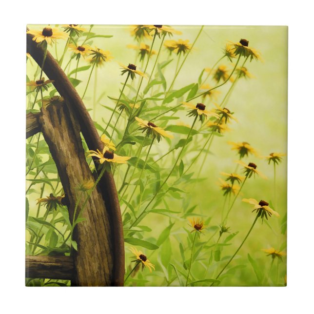 Black-Eyed Susan and Wagon Wheel Photo Tile (Front)