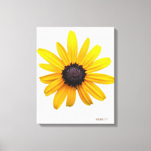Black-eyed Susan Art Canvas Print