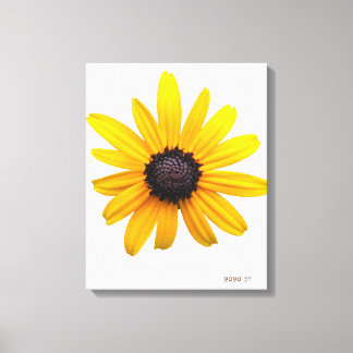 Black-eyed Susan Art Canvas Print