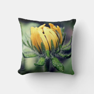 Black Eyed Susan Awakening   Throw Pillow