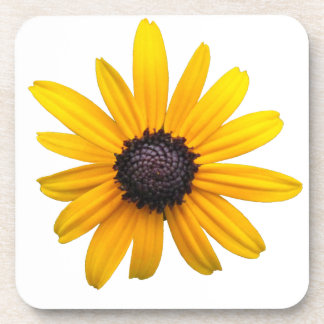 Black-eyed Susan Coasters
