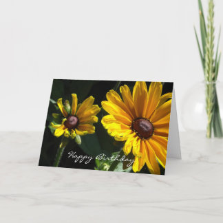 Black Eyed Susan Daisies Birthday Card