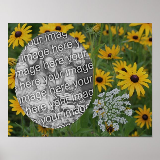 Black Eyed Susan Field Frame Add Your Photo Poster (Front)