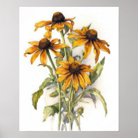 Black Eyed Susan Flower Art Imprimer Poster