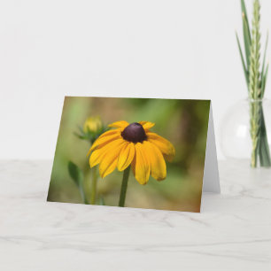 Black Eyed Susan Flower Card