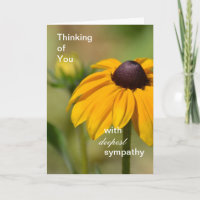 Black Eyed Susan Flower Deepest Sympathy