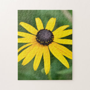 Black Eyed Susan - Flower Puzzle