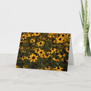 Black Eyed Susan Flowers Card