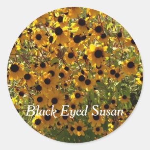 Black Eyed Susan Flowers Photo Your Text Stickers