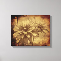 Black Eyed Susan Flowers Sepia Aged Vintage