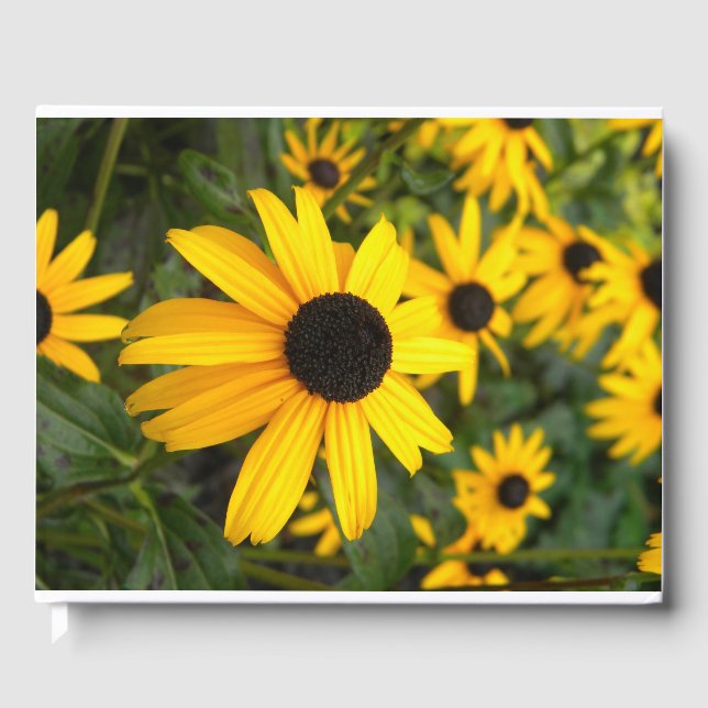 Black eyed susan gusess book  (Front)