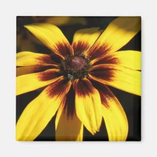 Black Eyed Susan Magnet
