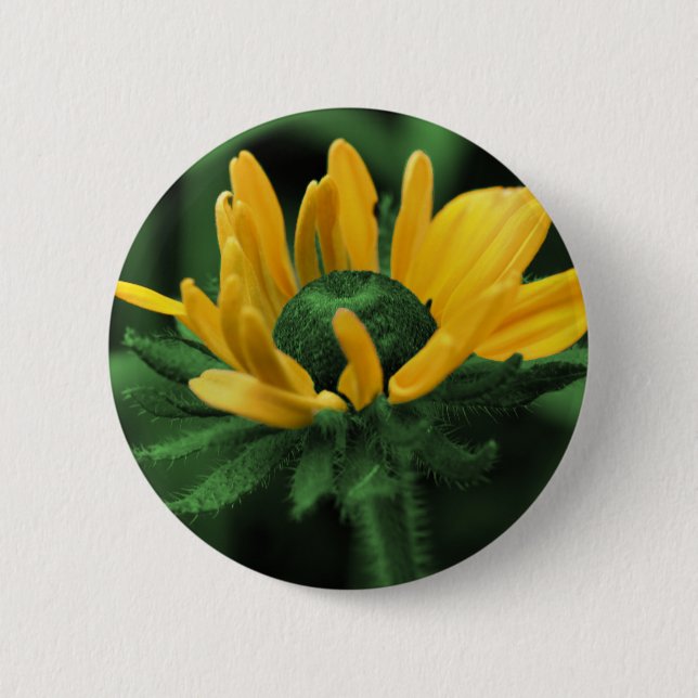 Black Eyed Susan On Green Flower 2 Inch Round Button (Front)
