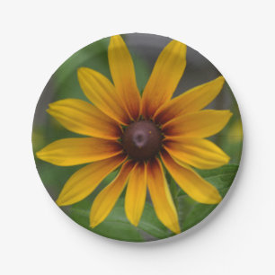 Black-eyed Susan Paper Plate