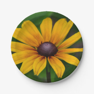 Black-eyed Susan Paper Plate