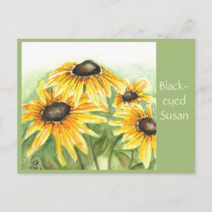 Black-eyed Susan Post Card
