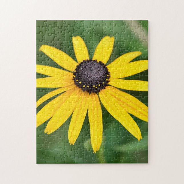 Black Eyed Susan - Puzzle de fleurs (Vertical)