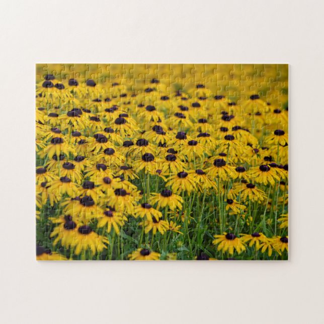 Black Eyed Susan - Puzzle floral (Horizontal)