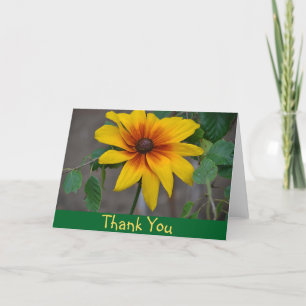 Black-Eyed Susan Thank You Card