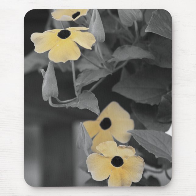 black eyed susan vine mouse pad (Front)
