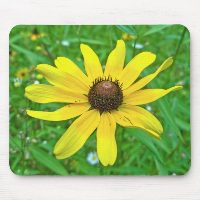 Black-Eyed Susan Wildflower Coordinating Items Mouse Pad (Front)