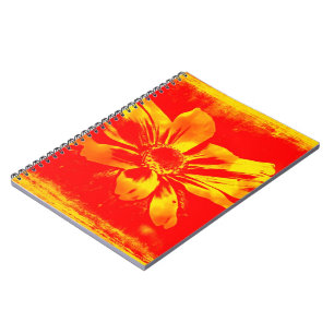 Black-Eyed Susan Wildflower - Digital Art Notebook