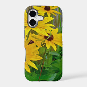 Black-Eyed Susan Wildflowers