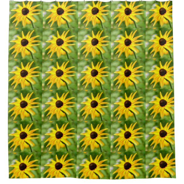 black-eyed susans (Front)
