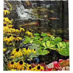 Black-Eyed Susans By Koi Pond
