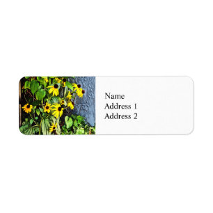 Black Eyed Susans By Stone Wall