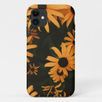black eyed susans