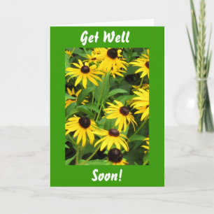 Black Eyed Susans, Get Well, Soon! Card