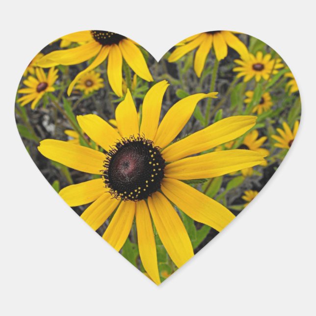 Black Eyed Susans Heart Sticker (Front)