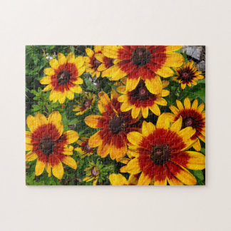 Black-eyed Susans Jigsaw Puzzle