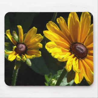 Black Eyed Susans Mouse Pad