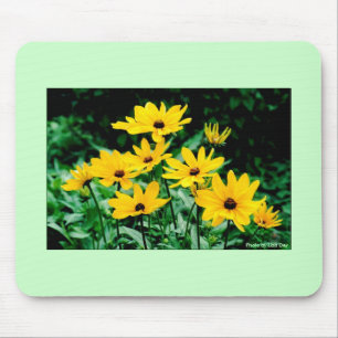 Black Eyed Susans Mousepad