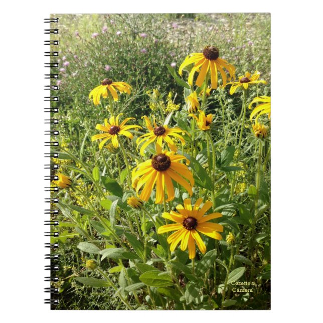 Black-eyed Susans Notebook (Front)