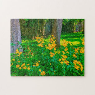 Black Eyed Susans Ohio. Jigsaw Puzzle