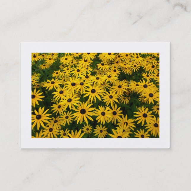 Black-eyed Susans (Rudbeckia Hirta) (Bordered) Business Card (Front)
