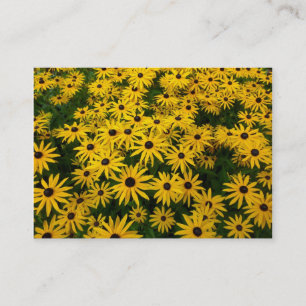 Black-eyed Susans (Rudbeckia Hirta) Business Card