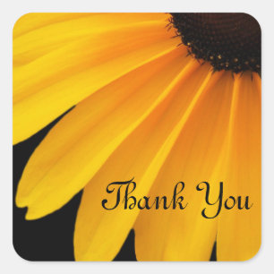 Black Eyed Susans  Theme Square Sticker