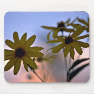Black-eyed Susans White flowers Mouse Pad