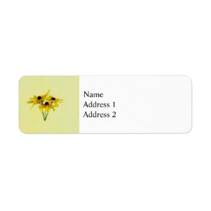 Black Eyed Susans With Curly Petals